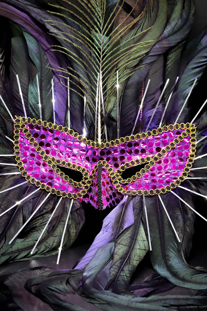 Purple Feathered Mardi Gras Mask