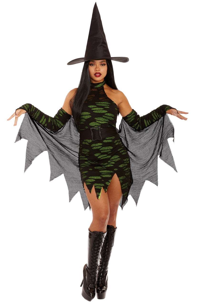 Miss Enchantment Witch Costume, Green Witch Halloween Costume