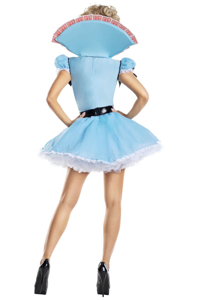Deck of Cards Alice Costume