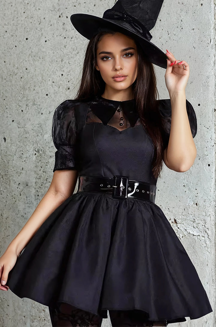 Vintage Witch Halloween Costume