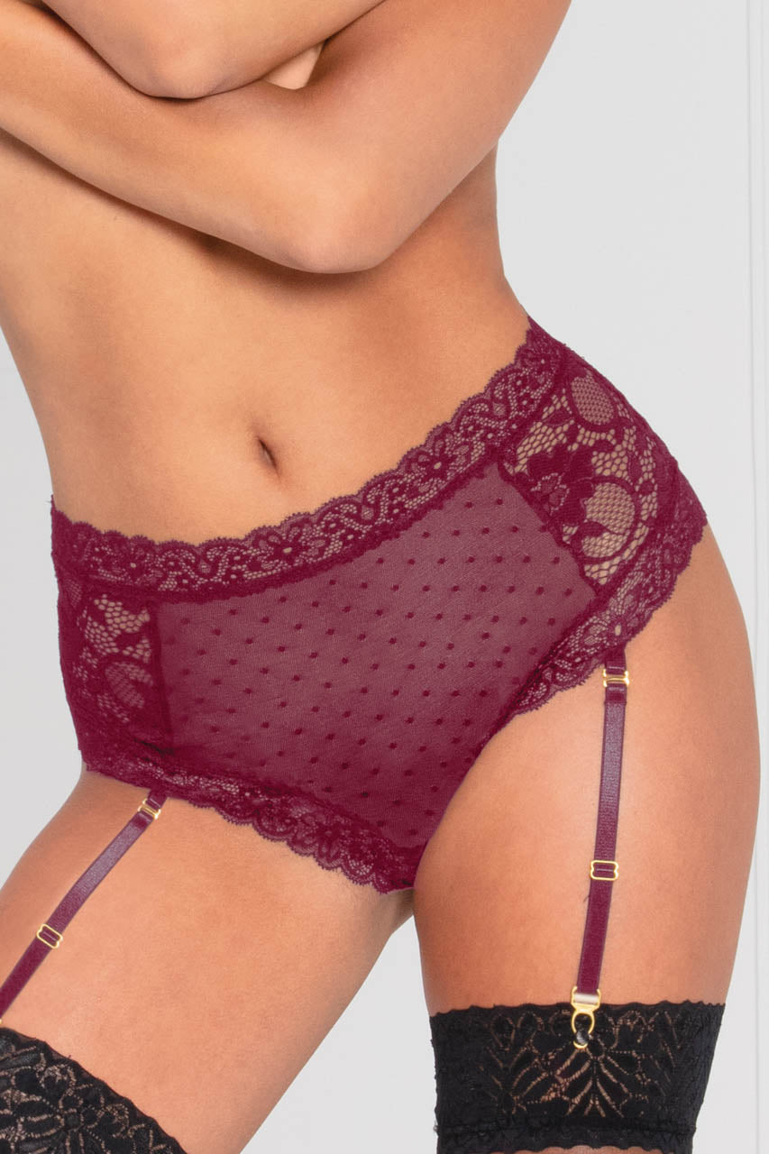 Lace and Dotted Mesh High Waisted Garter Panty