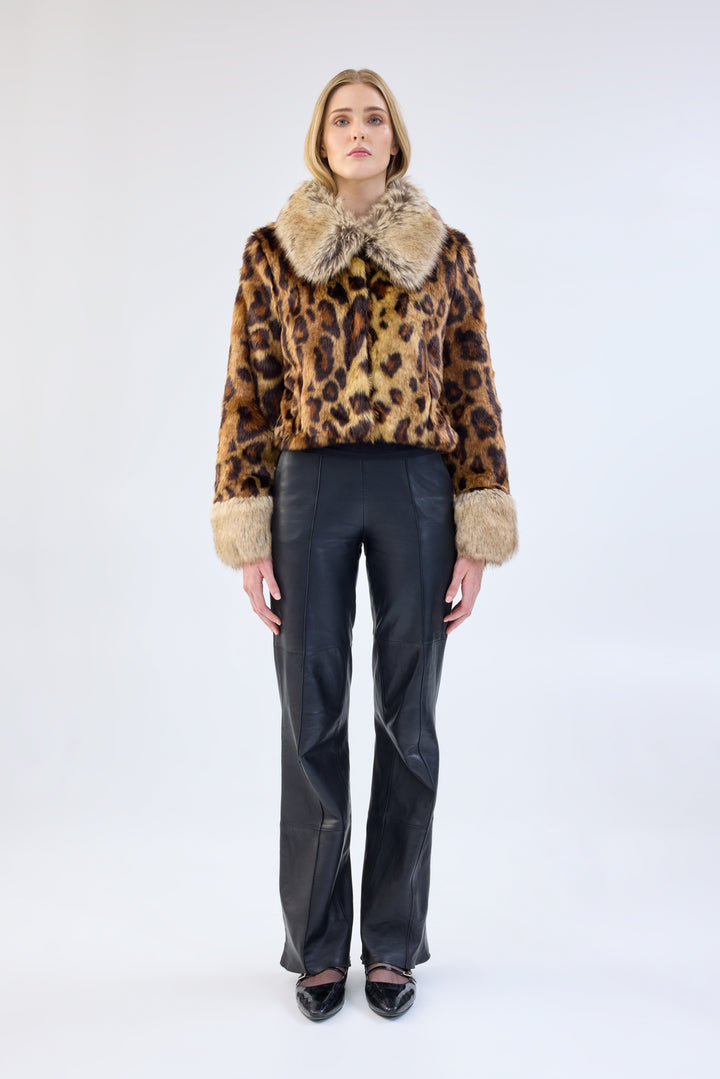 Hidden Tiger Jacket