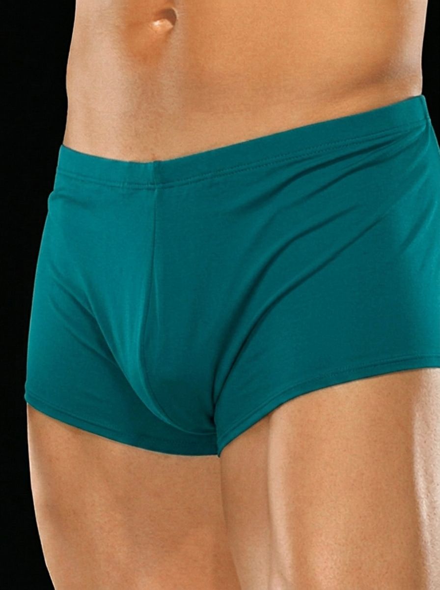 Men's Silk Pouch Boxer Briefs