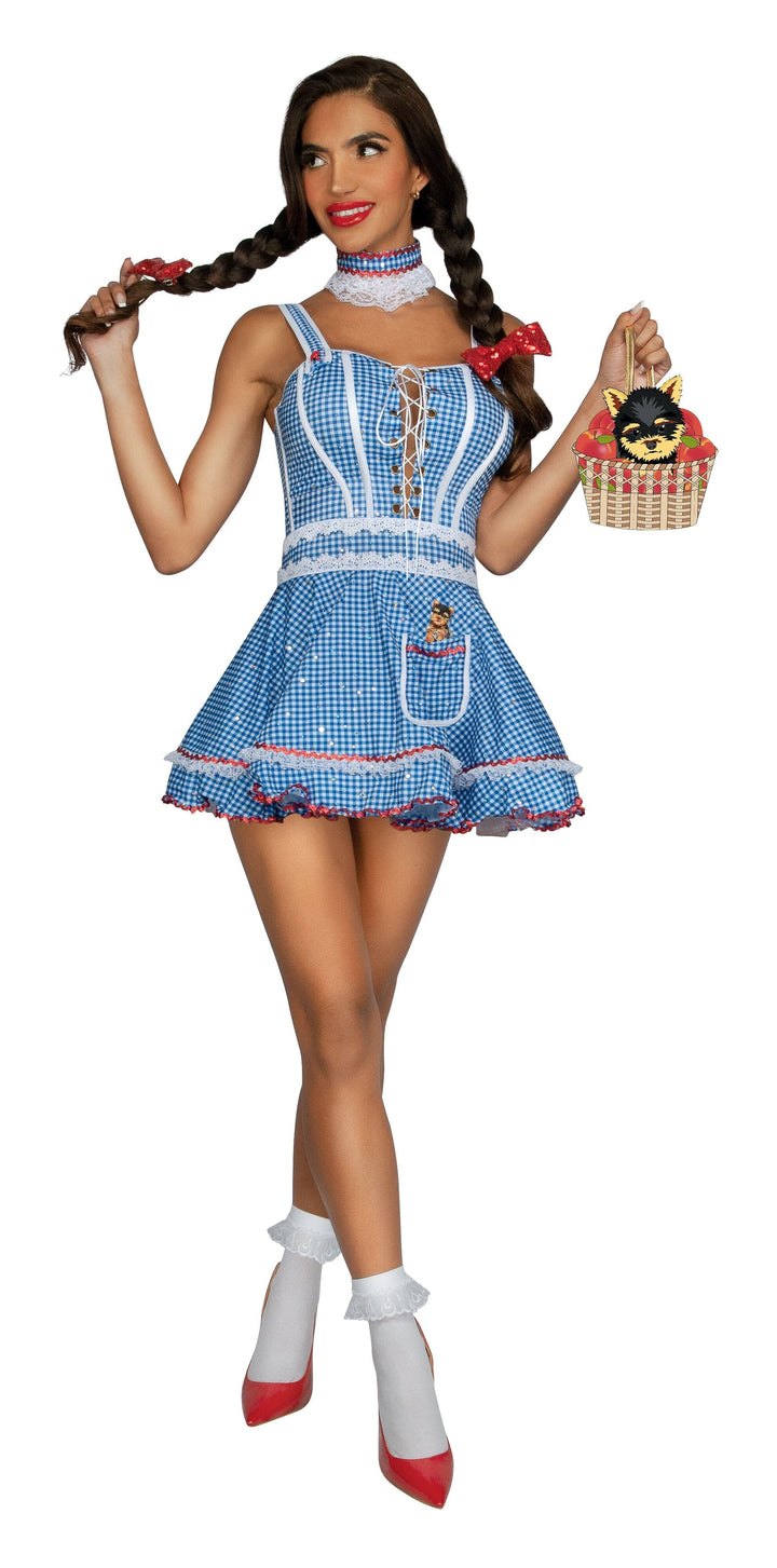 Kansas Sweetheart Costume