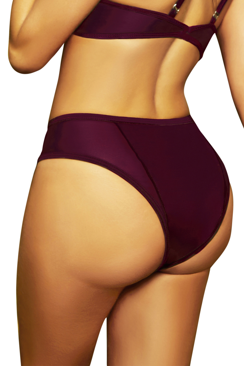 Shop this women's red wine high waist bikini bottoms with mesh inserts