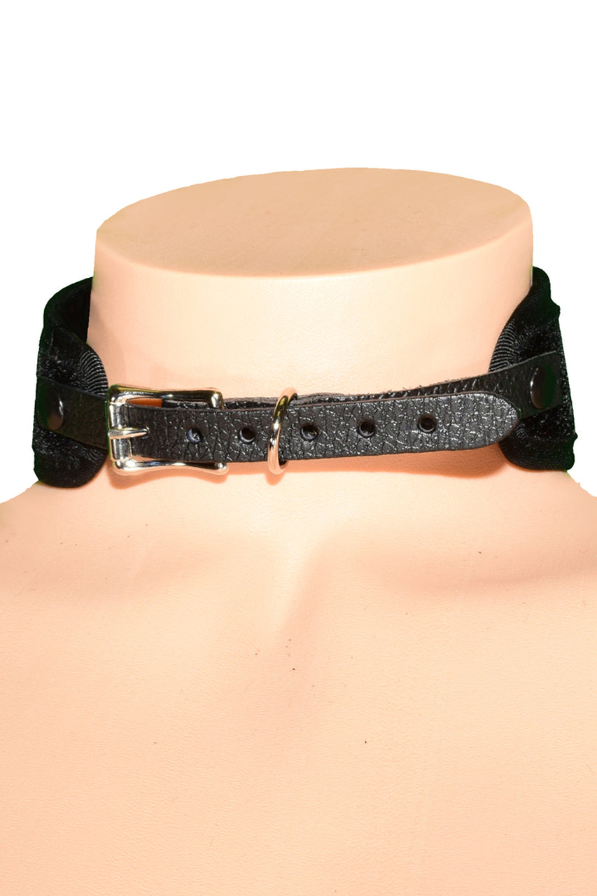 FMC113VEL-BACK__48460.jpg
