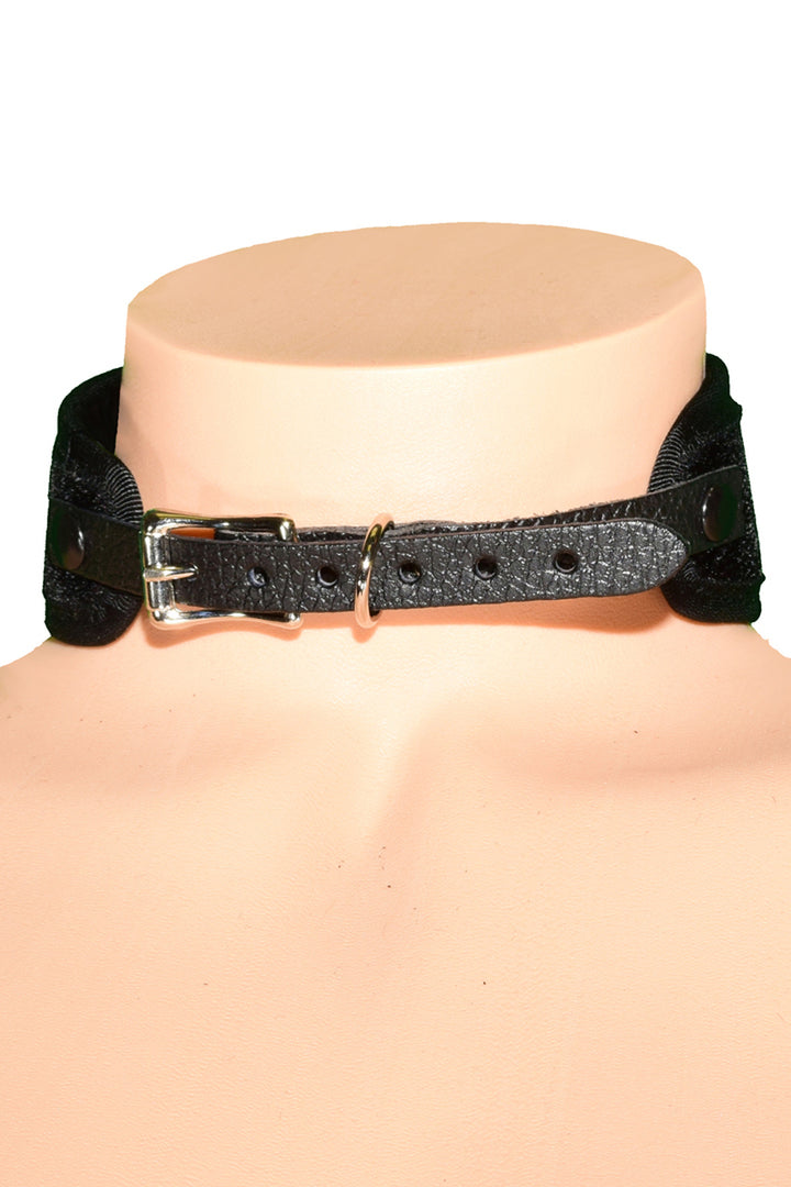 FMC113VEL-BACK__48460.jpg
