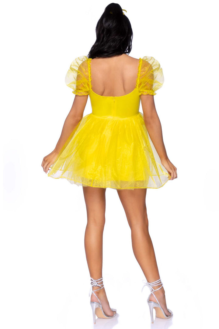 Frosted Organza Princess Costume Dress