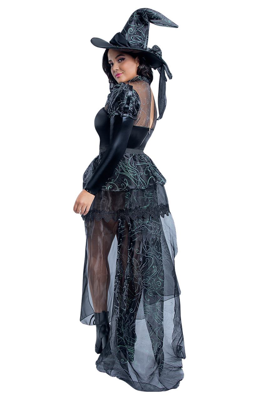 Plus Size Dark Wicked Witch Costume