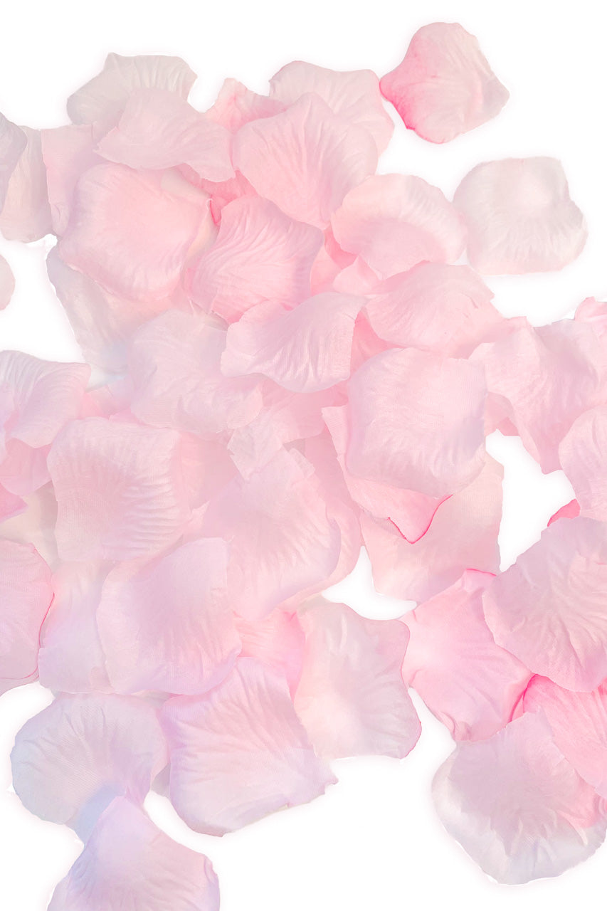 Bed of Roses Rose Petals
