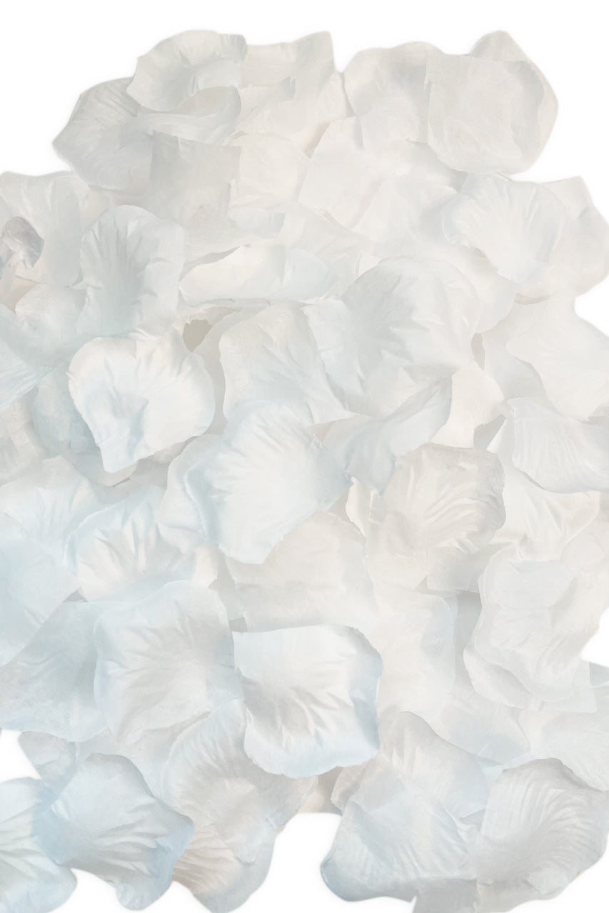 Bed of Roses Rose Petals