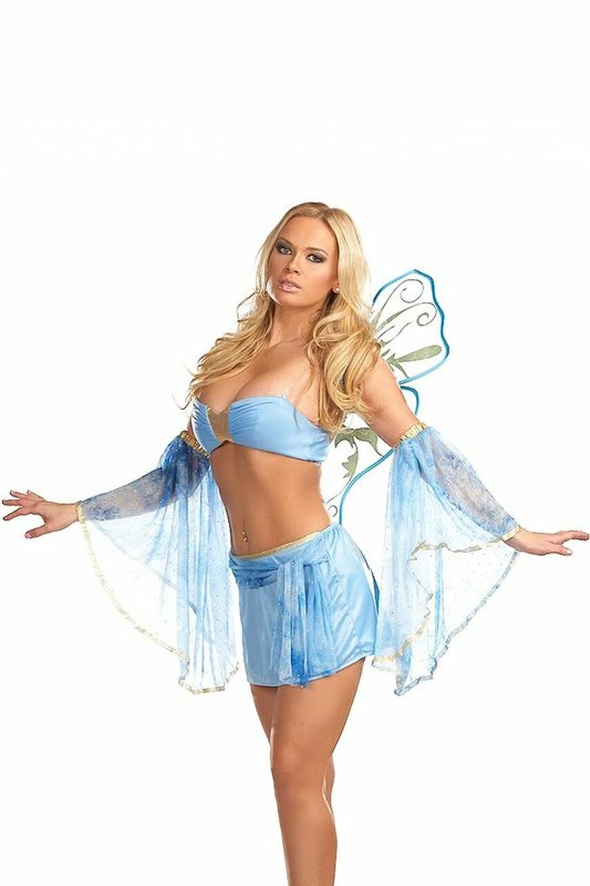 Nicolette Fairy Cosutme, Blue Fairy Halloween Costume 3wishes.com Nicolette Fairy Cosutme, Blue Fairy Halloween Costume 3wishes.com