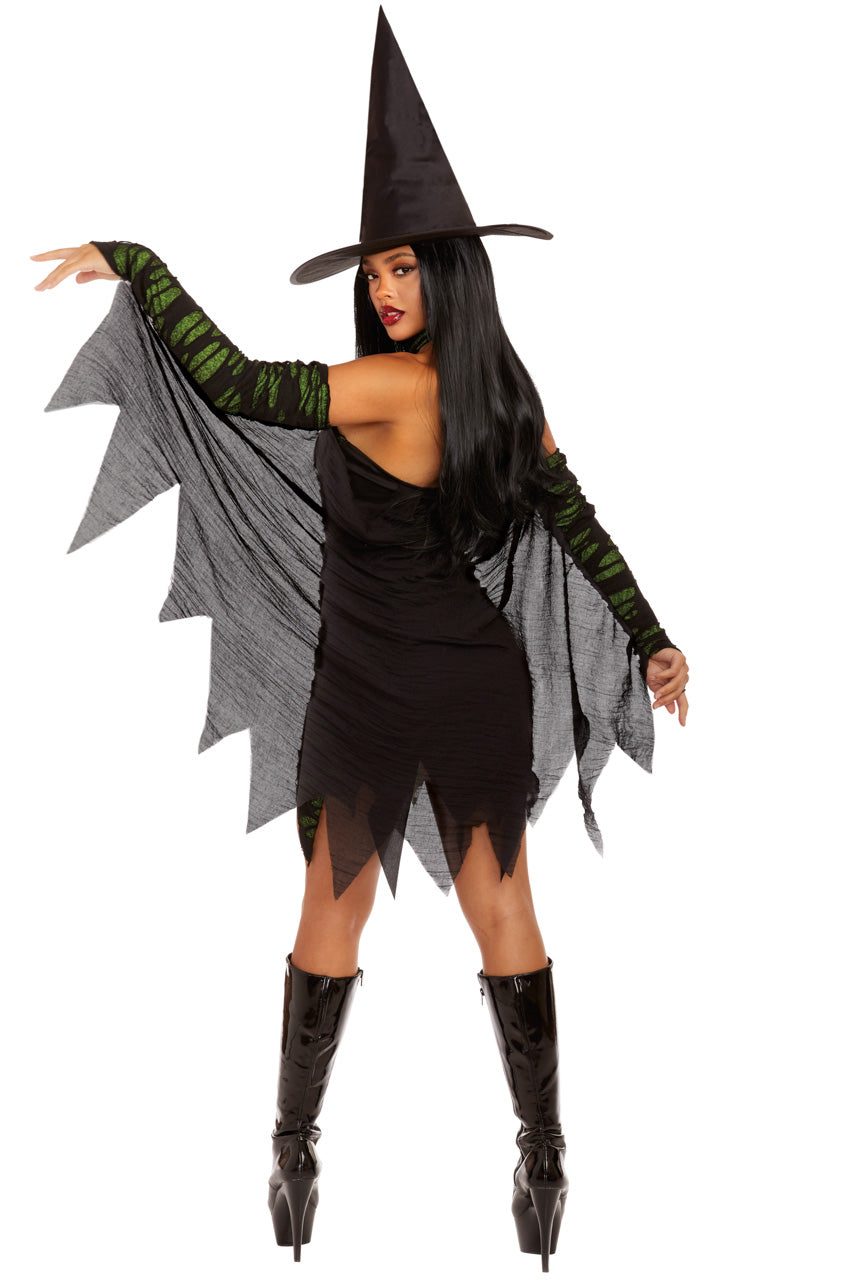 Miss Enchantment Witch Costume
