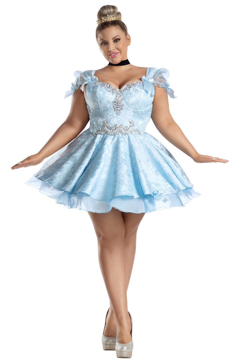Plus Size Lost Slipper Princess Costume