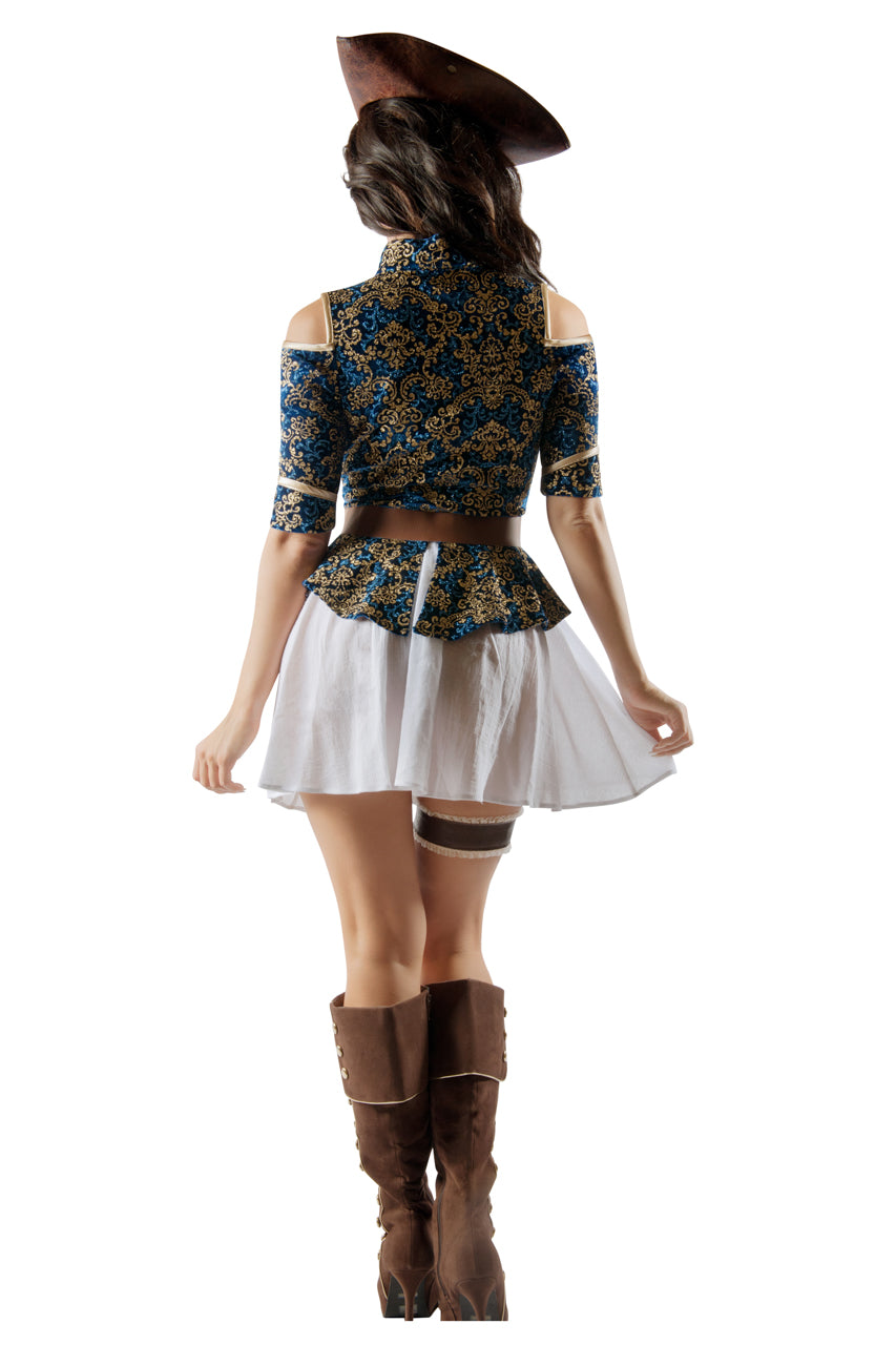 Posh Pirate Costume